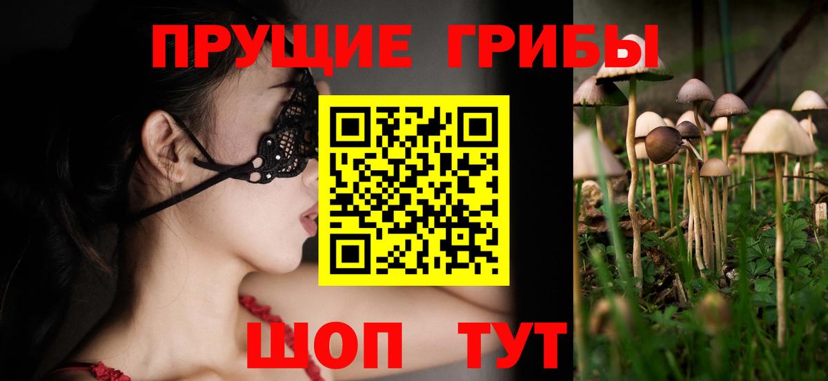 Галлюциногенные грибы прущие грибы Орёл